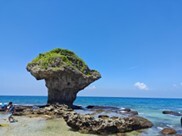 劉美麟研修心得