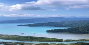 劉美麟研修心得